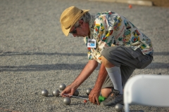 Al - Umpire in action